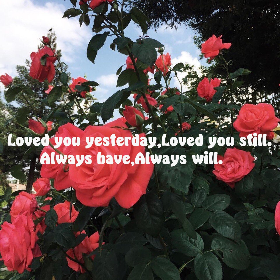 Loved you