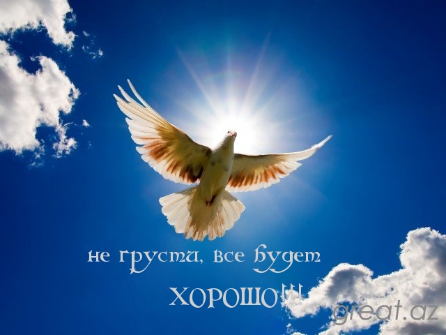 http://imagetext.ru/pics_max/images_3615.jpg