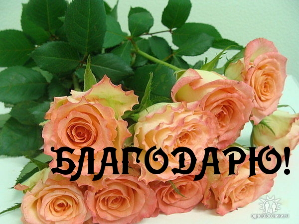 http://imagetext.ru/pics_max/images_6974.jpg