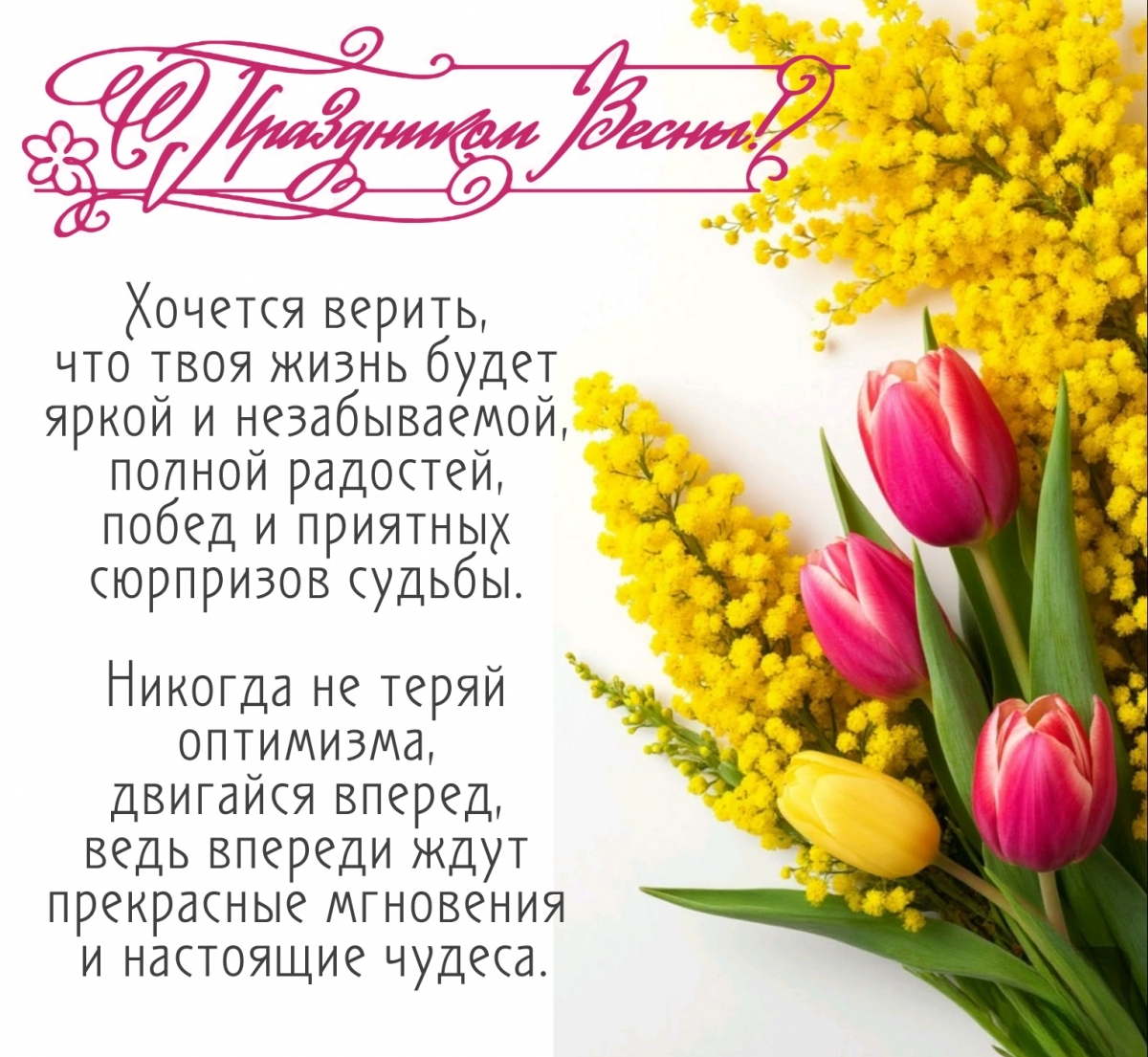 картинки с надписями Никогда не теряй оптимизма, двигайся вперед