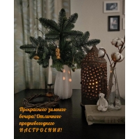 Отличного предновогоднего НАСТРОЕНИЯ!