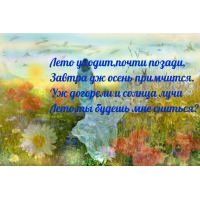 Лето уходит, почти позади, завтра уж осень примчится.
