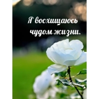 Я восхищаюсь чудом жизни.