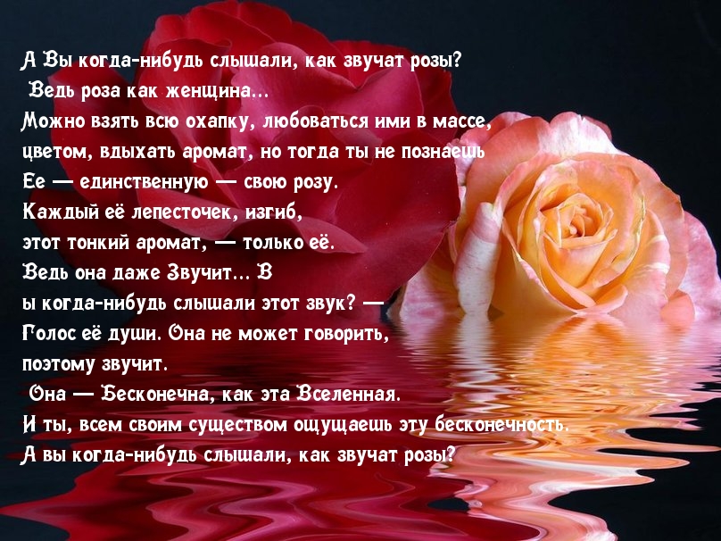 Люблю тебя стихи красивые любимой. Стихи. Красивые стихи. Очень красивые стихи. Красивые стихи про розы.