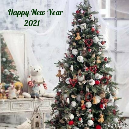 Happy New Year 2021.