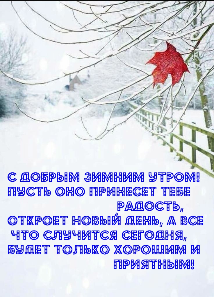 Доброе зимнее со смыслом. С добрым зимним утром. Доброе зимнее утро с надписями. С добрым зимним утром надпись. Хорошего настроения в любую погоду зима.