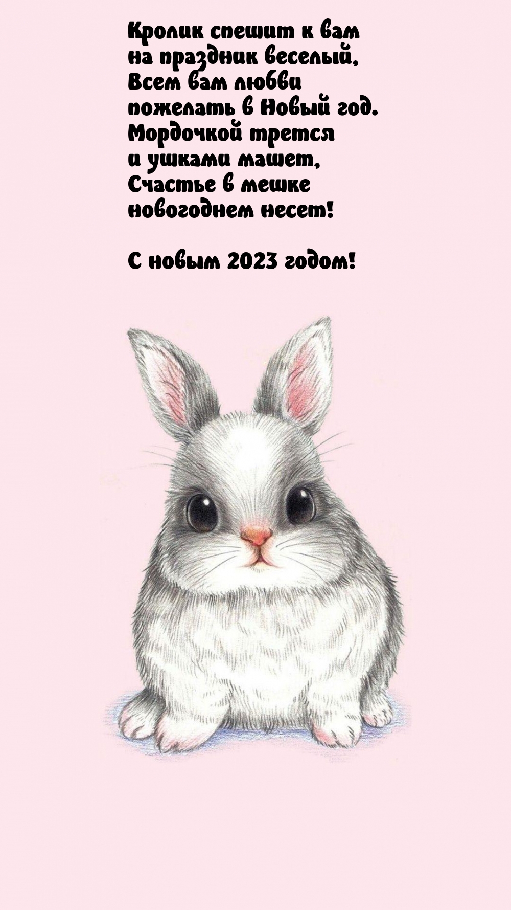       !   2023 !