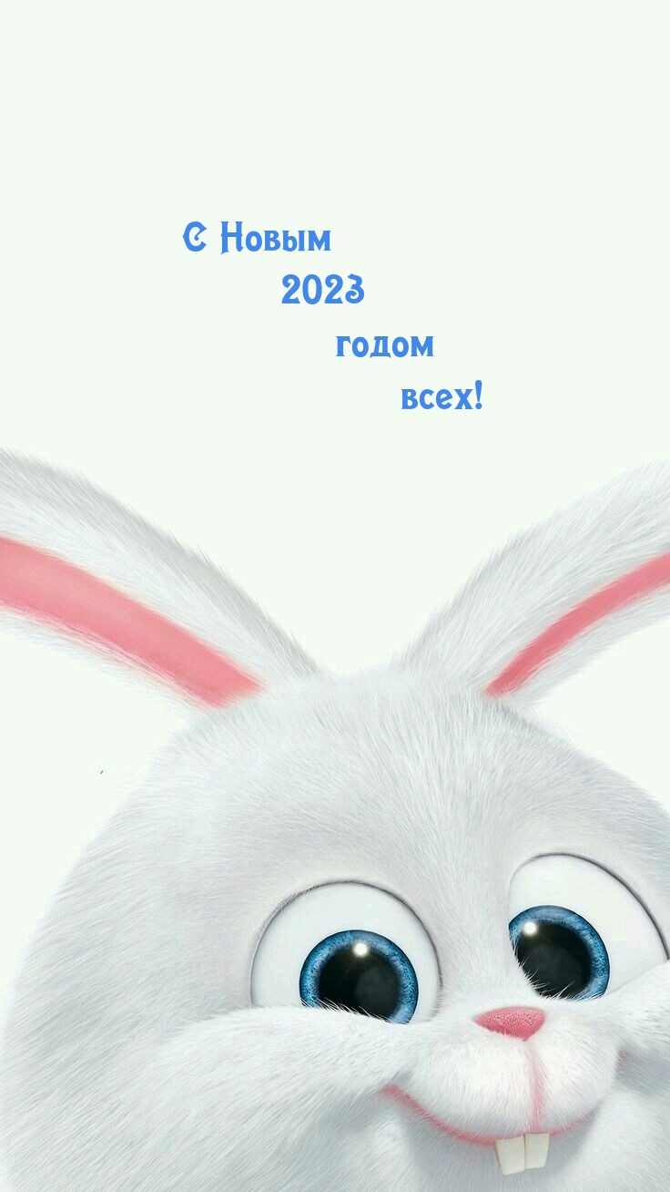   2023  ! 