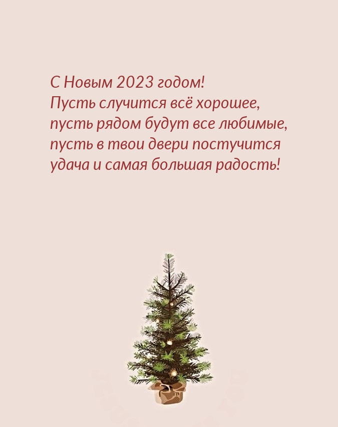   2023 !    .