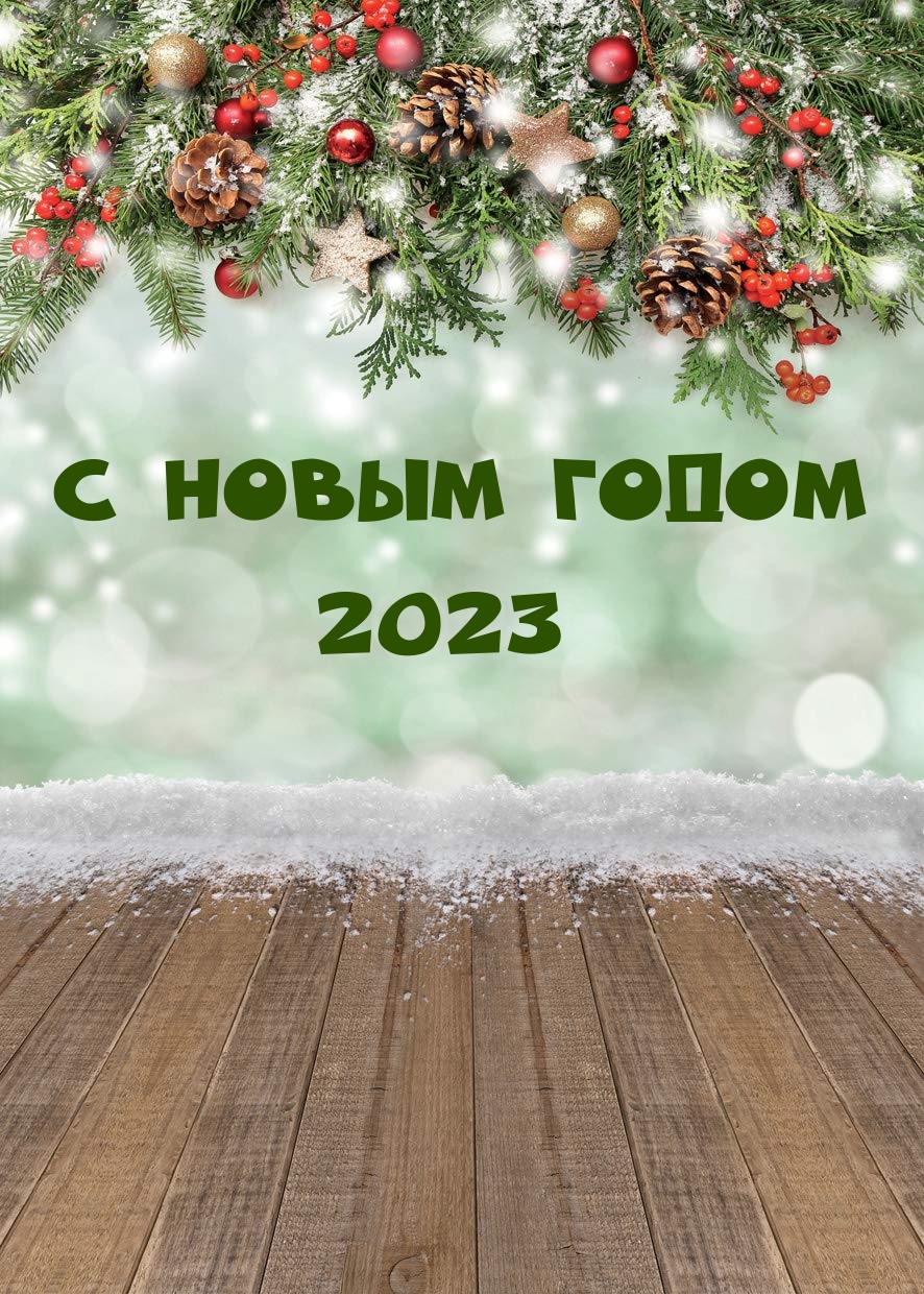 Картинка новый 2023