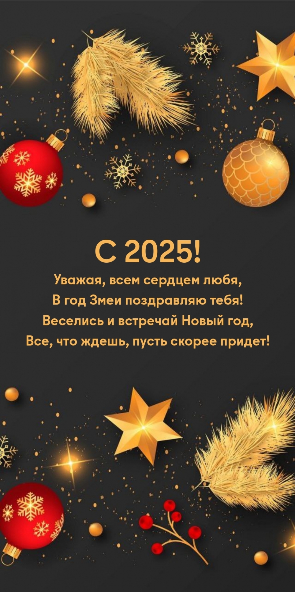  2025! ,   ,     !