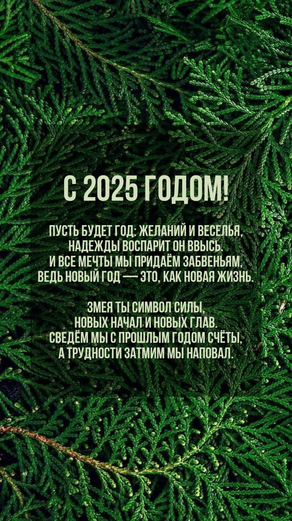  2025 !   :   