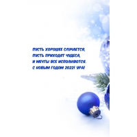 С Новым годом 2022! Ура!