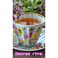 Доброе утро.