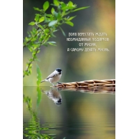 Пора перестать ждать неожиданных подарков от жизни